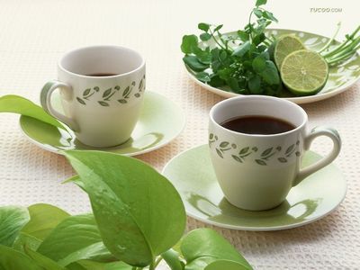 茶葉進口與食品報關(guān) 一站式商務(wù)服務(wù)指南